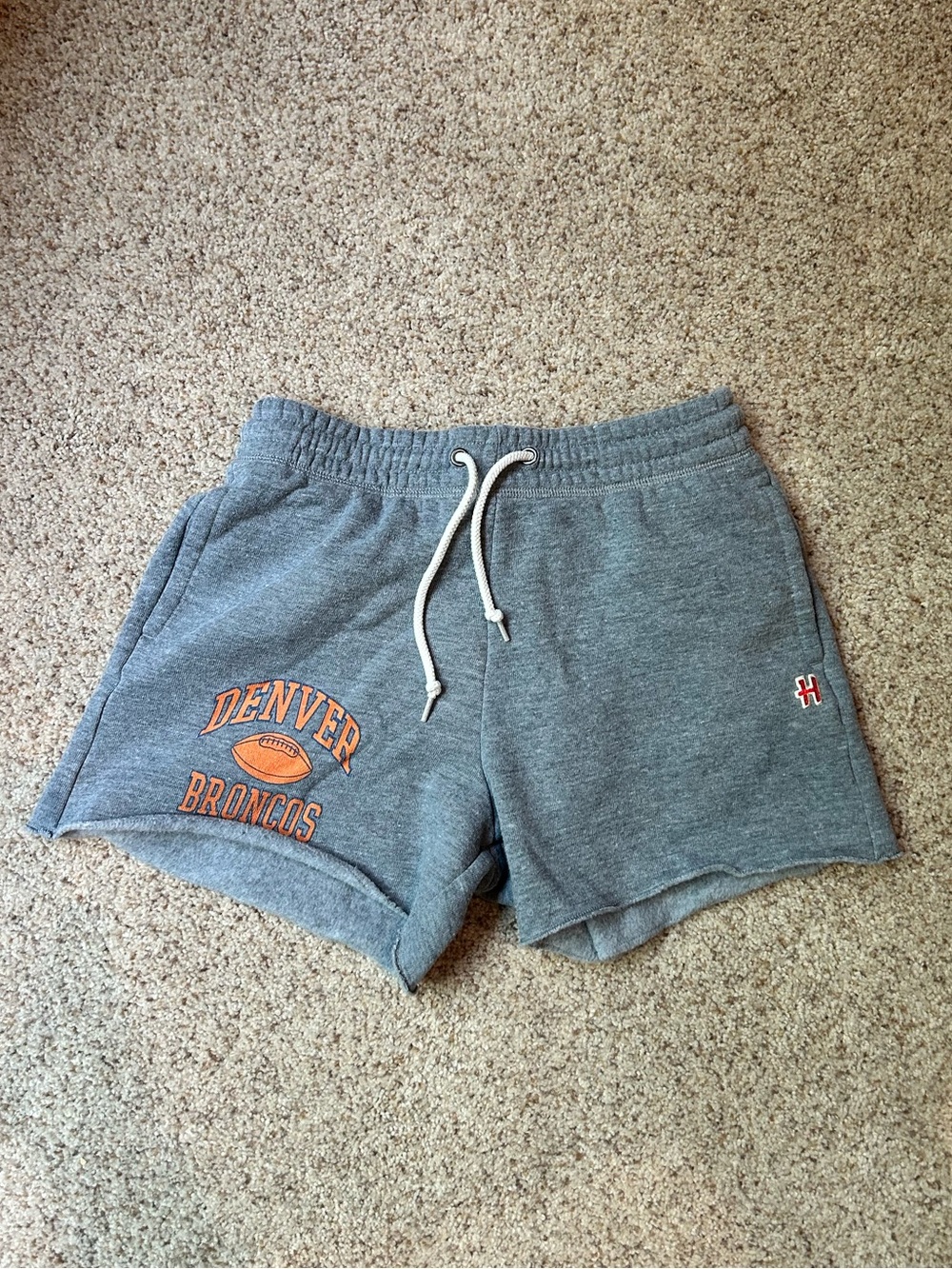 HOMAGE Gray Fleece Shorts with Drawstring